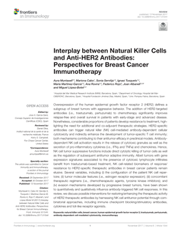Interplay Between Natural Killer Cells and Anti-HER2 Antibodies: Perspectives for Breast Cancer Immunotherapy