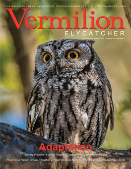 October–December 2014 Vermilion Flycatcher Tucson Audubon 3 the Sky Island Habitat