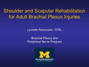 Shoulder and Scapular Rehabilitation for Adult Brachial Plexus Injuries