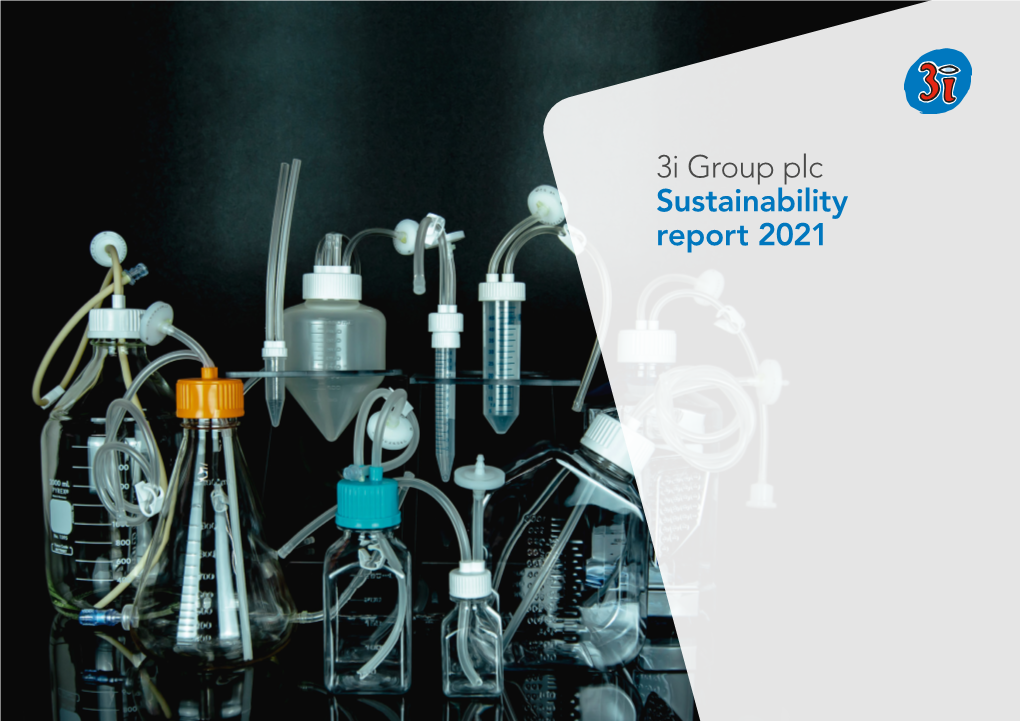 3I Group Plc Sustainability Report 2021