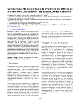 Comportamiento De Los Flujos De Avalancha De Detritos De Los Volcanes Llullaillaco Y Tata Sabaya, Andes Centrales