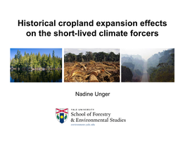 Historical Cropland Expansion Effects on the Short-Lived Climate Forcers