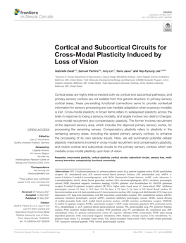 Cortical and Subcortical Circuits for Cross-Modal Plasticity Induced by Loss of Vision