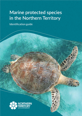 Marine Protected Species in the Northern Territory