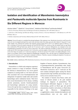 Isolation and Identification of Mannheimia Haemolytica and Pasteurella Multocida Species from Ruminants in Six Different Regions in Morocco