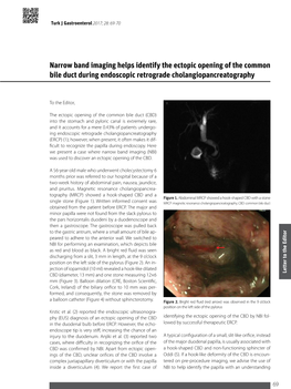 Narrow Band Imaging Helps Identify the Ectopic Opening of the Common Bile Duct During Endoscopic Retrograde Cholangiopancreatography