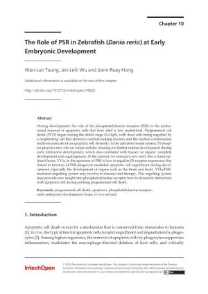 (Danio Rerio) at Early Embryonic Development