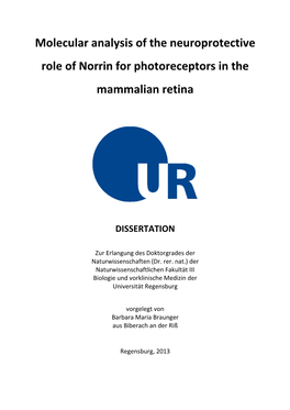 Molecular Analysis of the Neuroprotective Role of Norrin for Photoreceptors in the Mammalian Retina