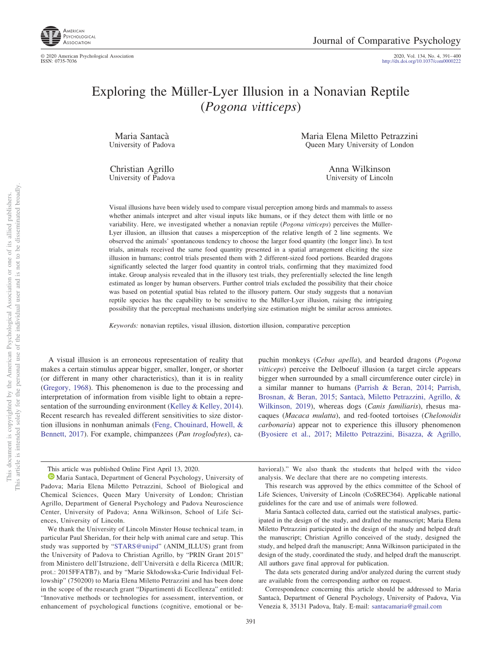 Exploring the Müller-Lyer Illusion in a Nonavian Reptile (Pogona Vitticeps)