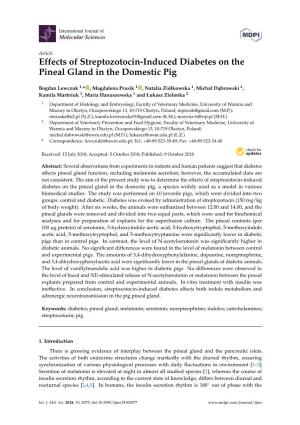 Effects of Streptozotocin-Induced Diabetes on the Pineal Gland in the Domestic Pig