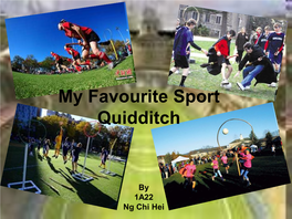 Muggle Quidditch” Match, Ordinary Non-Wizard Players Ride on Their Broomsticks to Trace After the Different Balls on Land