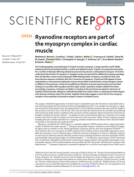 Ryanodine Receptors Are Part of the Myospryn Complex in Cardiac Muscle Received: 10 March 2017 Matthew A