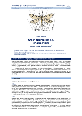 Orden NEUROPTERA S.S. (PLANIPENNIA) Manual