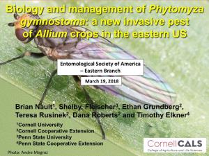 Biology and Management of Phytomyza Gymnostoma: a New Invasive Pest of Allium Crops in the Eastern US