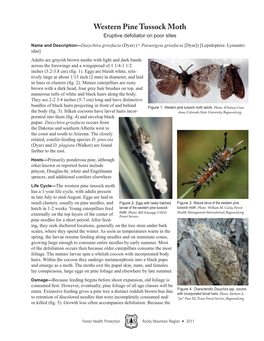Western Pine Tussock Moth Eruptive Defoliator on Poor Sites