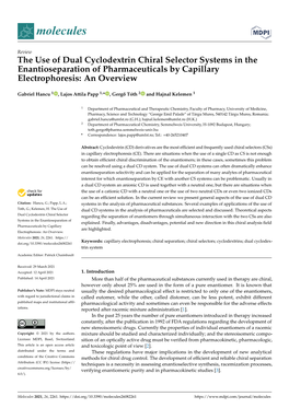 The Use of Dual Cyclodextrin Chiral Selector Systems in the Enantioseparation of Pharmaceuticals by Capillary Electrophoresis: an Overview