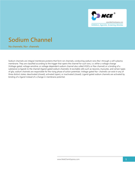 Sodium Channel Na Channels; Na+ Channels