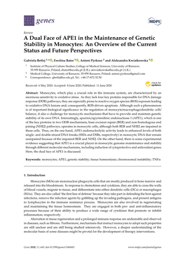 A Dual Face of APE1 in the Maintenance of Genetic Stability in Monocytes: an Overview of the Current Status and Future Perspectives