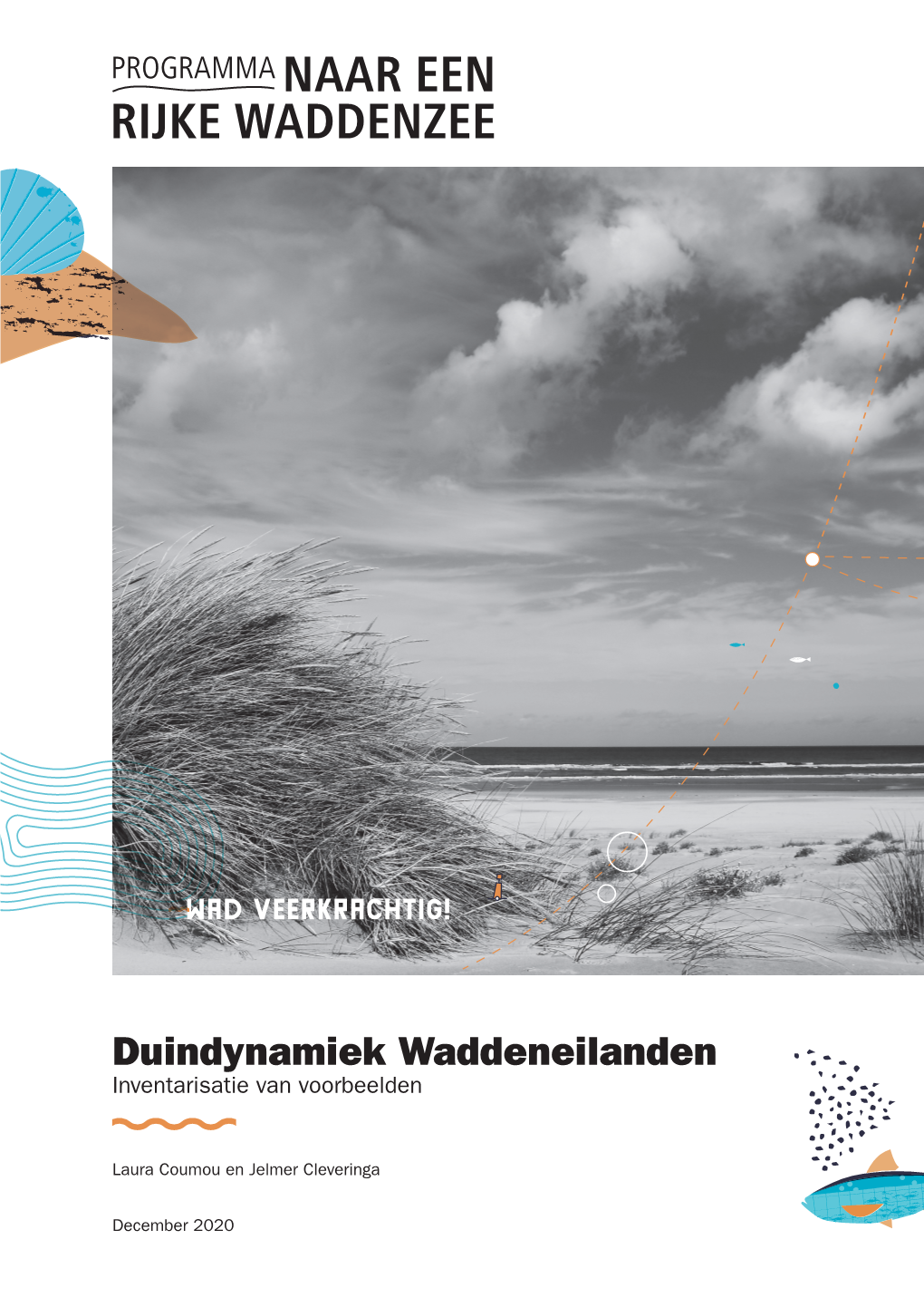 Duindynamiek Waddeneilanden Inventarisatie Van Voorbeelden