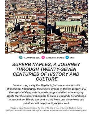 Superb Naples, a Journey Through Twenty-Seven Centuries of History and Culture