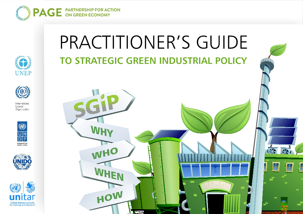Practitioner's Guide to Strategic Green Industrial Policy