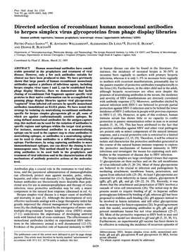 Directed Selection of Recombinant Human Monoclonal Antibodies to Herpessimplex Virus Glycoproteins from Phage Display Libraries