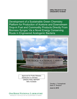 Development of a Sustainable Green Chemistry Platform for Production Of