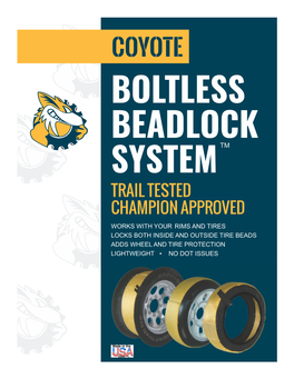 Boltless Beadlock Tm System