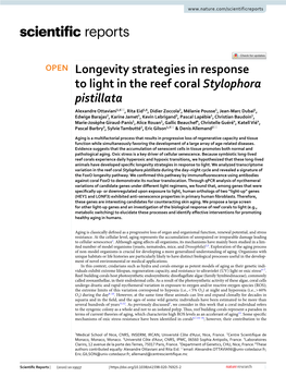 Longevity Strategies in Response to Light in the Reef Coral Stylophora