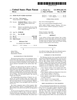 (12) United States Plant Patent (10) Patent No.: US PP15,452 P2 Hirose (45) Date of Patent: Dec