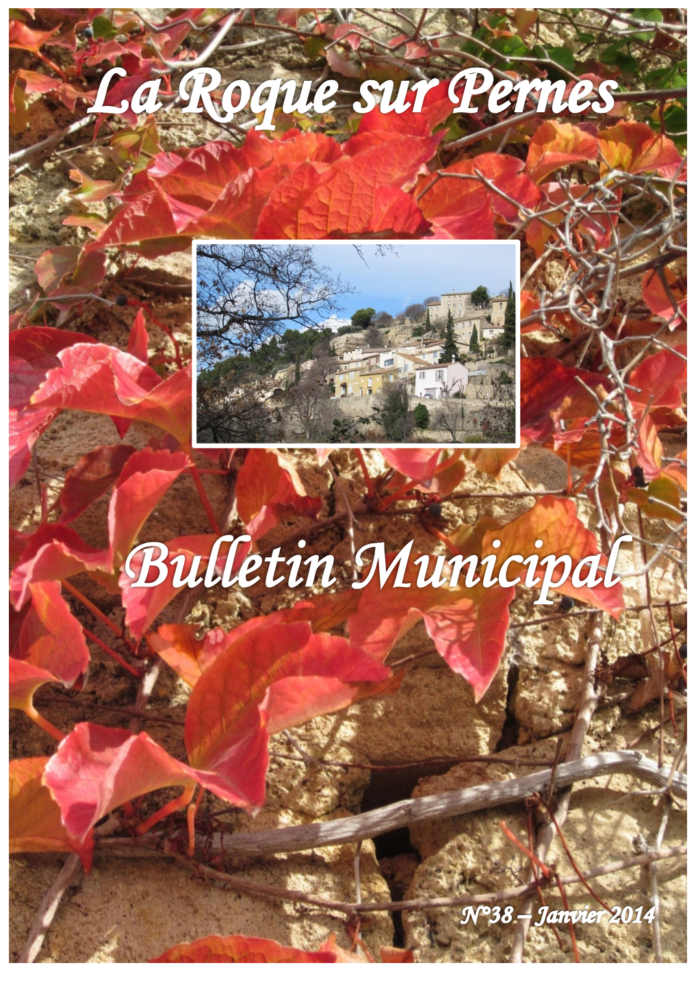 Bulletin Municipal La Roque Sur Pernes N° 38 Janvier 2014