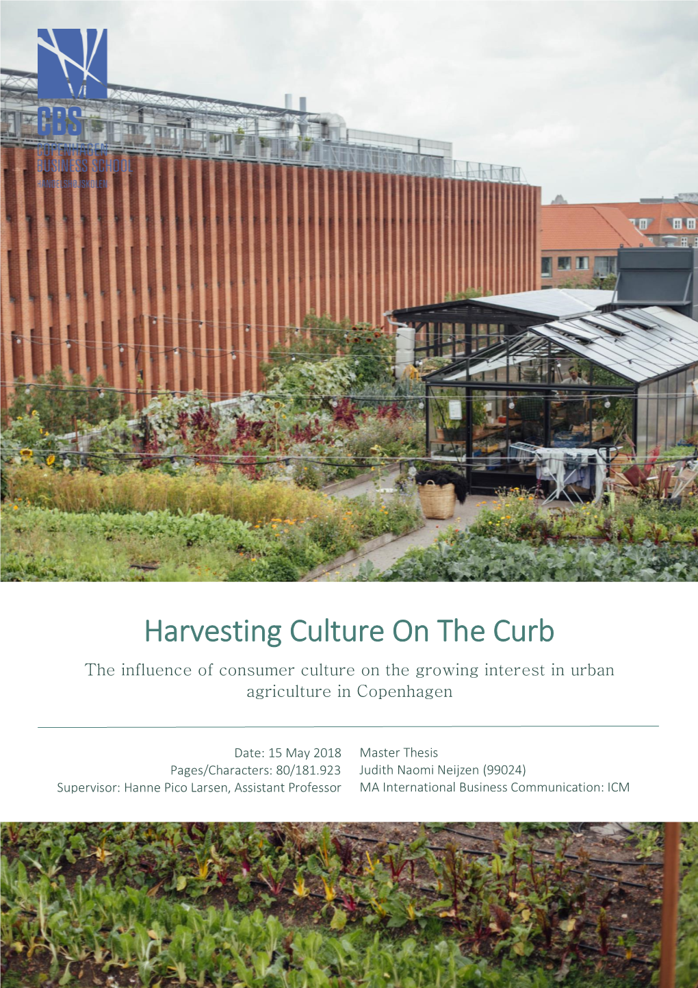 Harvesting Culture on the Curb the Influence of Consumer Culture on the Growing Interest in Urban Agriculture in Copenhagen
