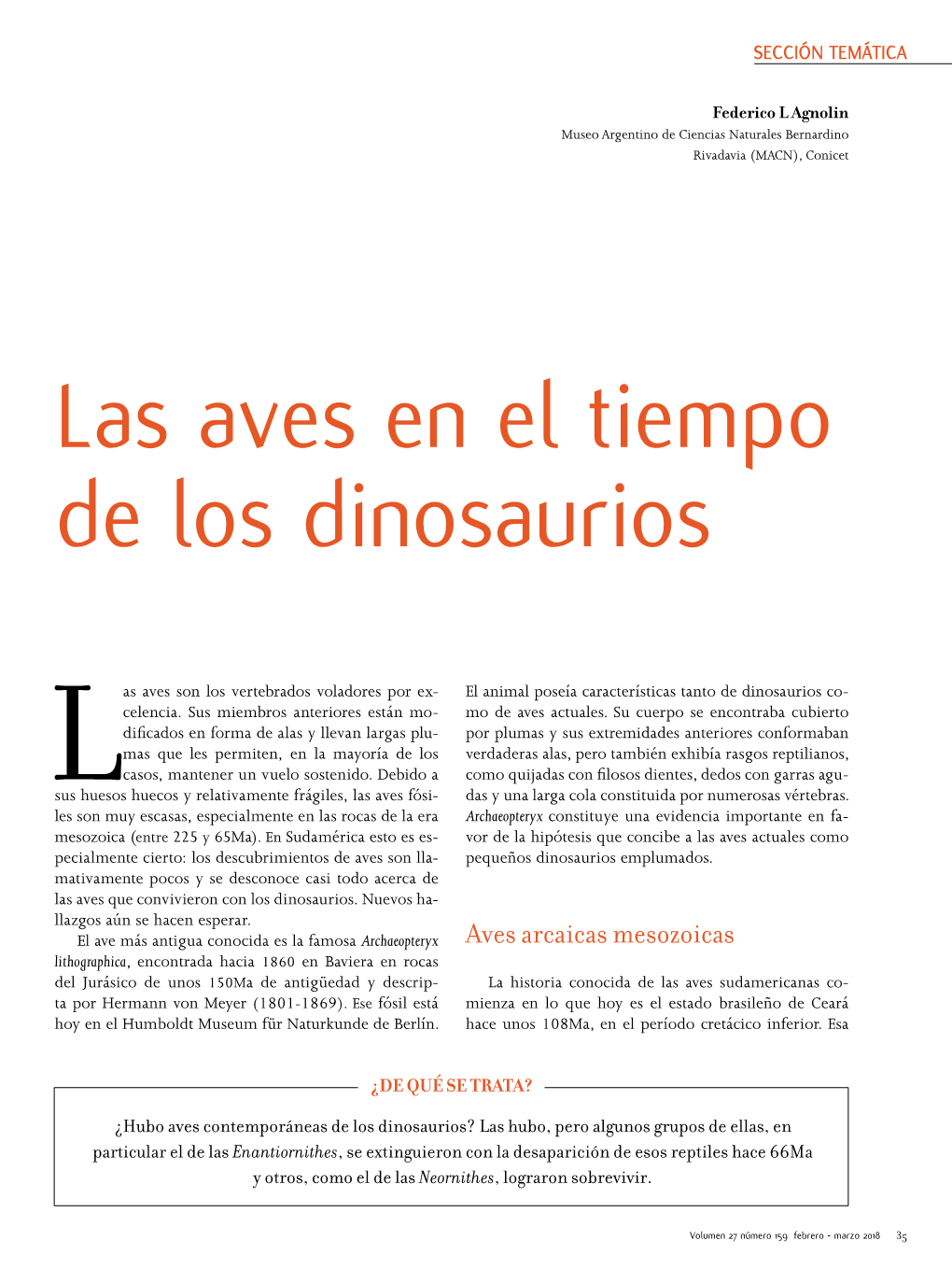 Las Aves En El Tiempo De Los Dinosaurios