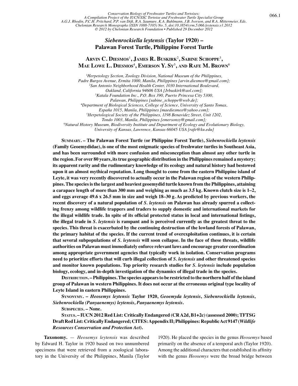 Siebenrockiella Leytensis (Taylor 1920) – Palawan Forest Turtle, Philippine Forest Turtle