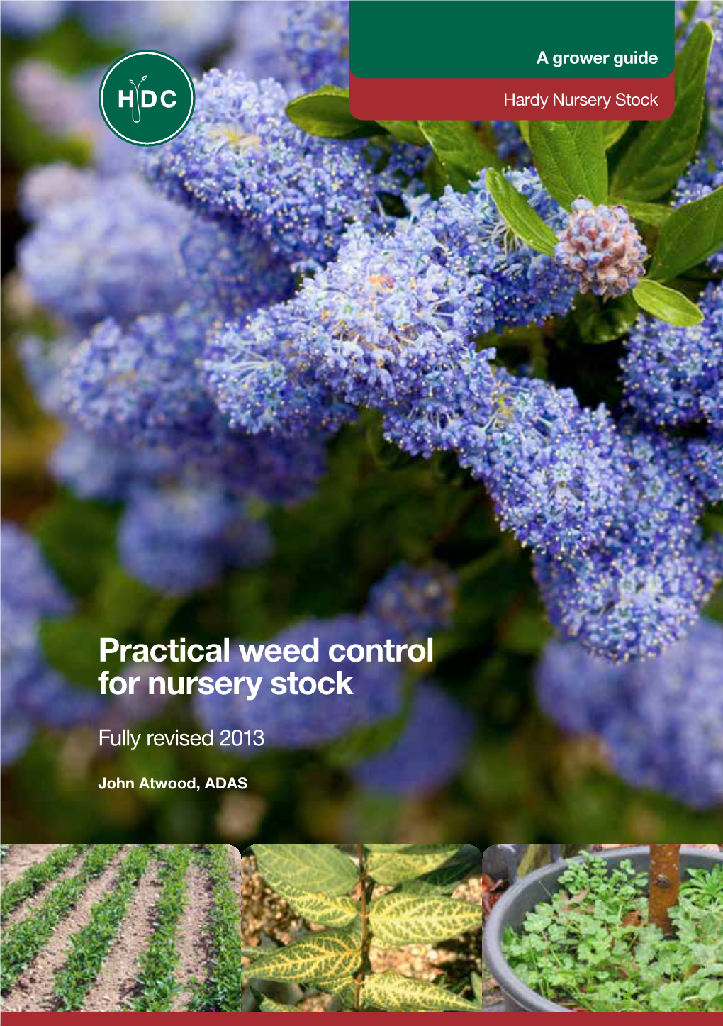 Practical Weed Control for Nursery Stock