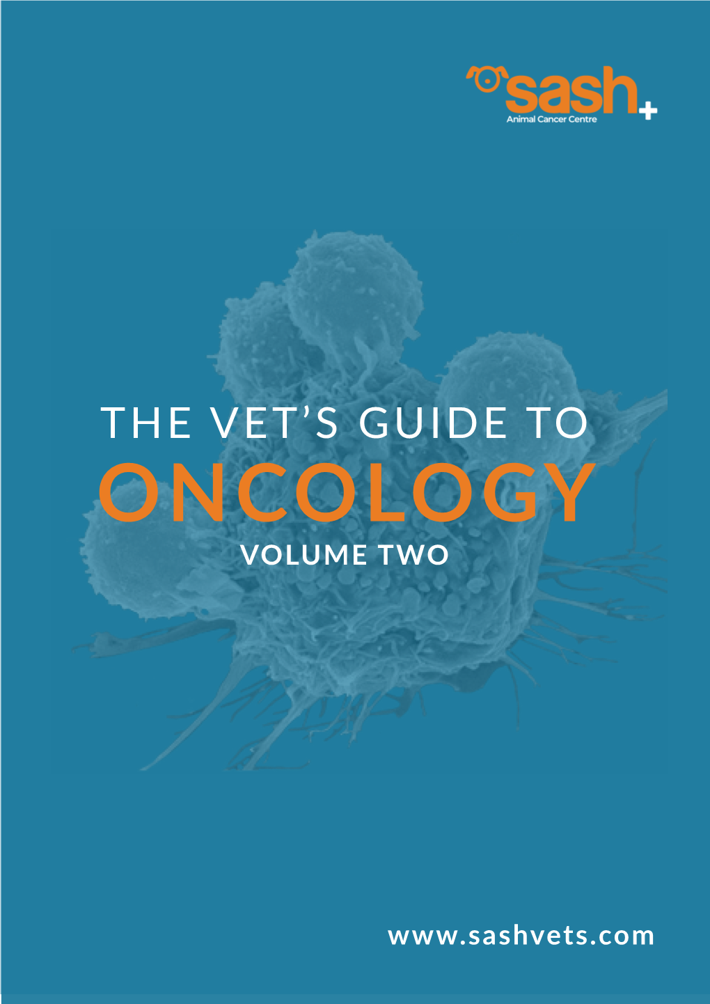 The Vet's Guide To