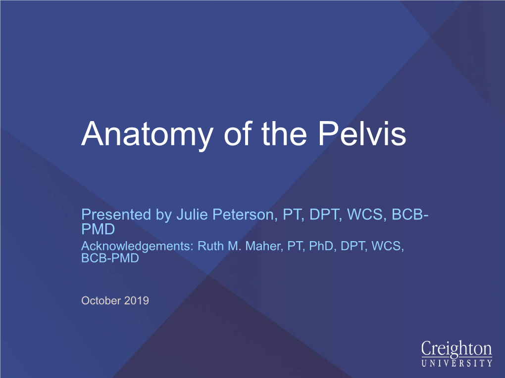 An Introduction to Pelvic Floor Physical Therapy