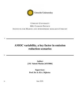 AMOC Variability, a Key Factor in Emission Reduction Scenarios