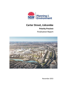 Carter Street Finalisation Report Nov2015