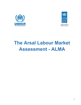 The Arsal Labour Market Assessment - ALMA