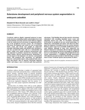 Sclerotome Development and Peripheral Nervous System Segmentation in Embryonic Zebraﬁsh