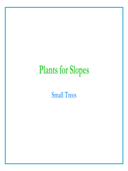 Plants for Slopes (With Photos)