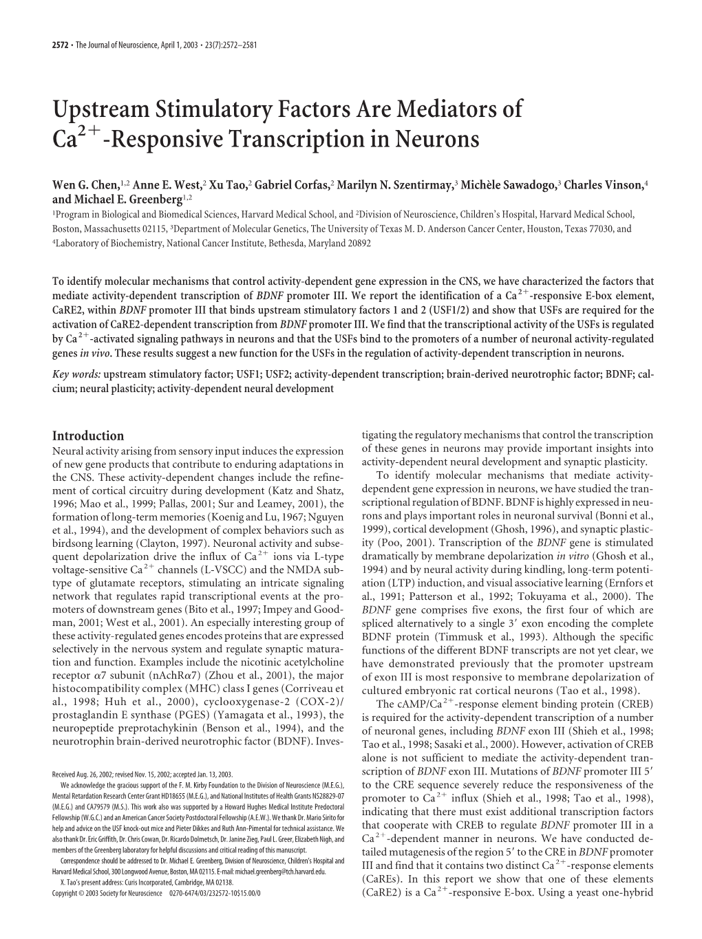 Responsive Transcription in Neurons