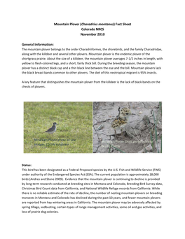Mountain Plover (Charadrius Montanus) Fact Sheet Colorado NRCS November 2010