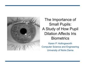 A Study of How Pupil Dilation Affects Iris Biometrics Karen P