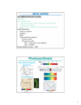 Photosynthesis the Electromagnetic Spectrum