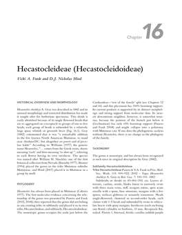 Hecastocleideae (Hecastocleidoideae)