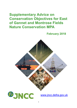Supplementary Advice on the Conservation Objectives for Offshore Deep-Sea Muds in East of Gannet and Montrose Fields NCMPA