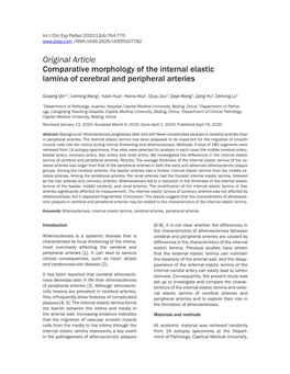 Original Article Comparative Morphology of the Internal Elastic Lamina of Cerebral and Peripheral Arteries