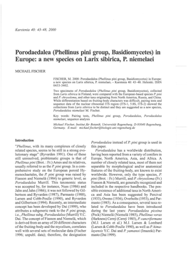 Porodaedalea (Phellinus Pini Group, Basidiomycetes) in Europe: a New Species on Larix Sibirica, P. Niemelaei